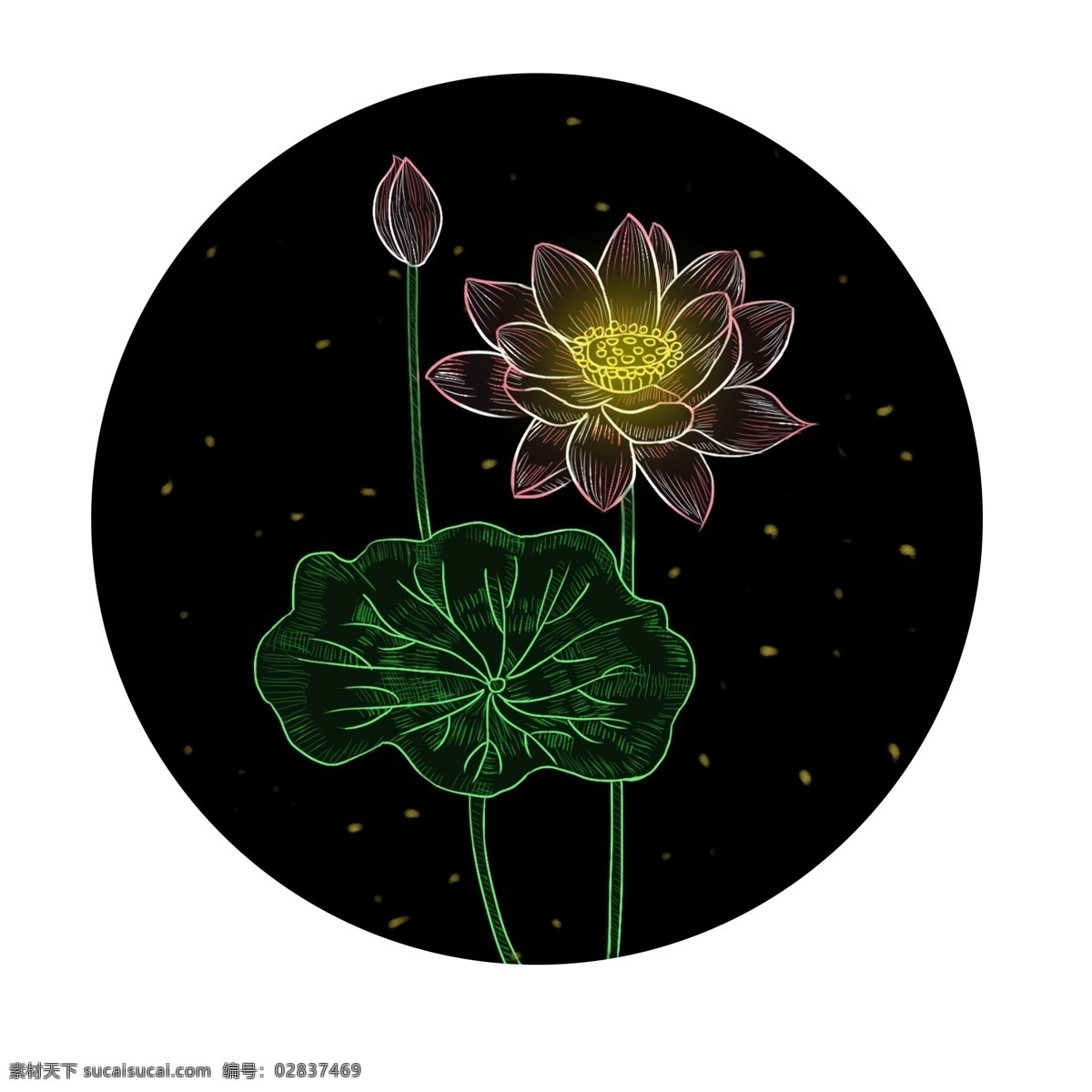 手绘 风 透明感 荷花 花卉 手绘风 元素 可商用 花 鲜花