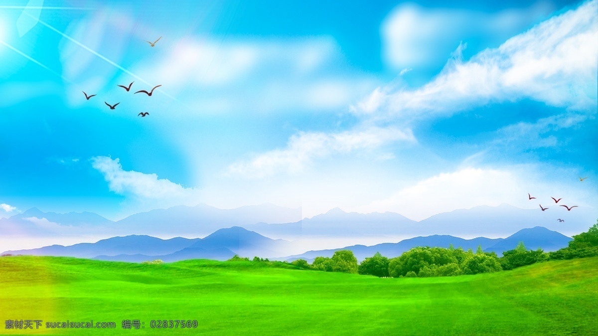 彩绘 清新 春季 植物 背景 绿色背景 治愈系背景 插画背景 植物背景 唯美 草地背景 蓝天白云