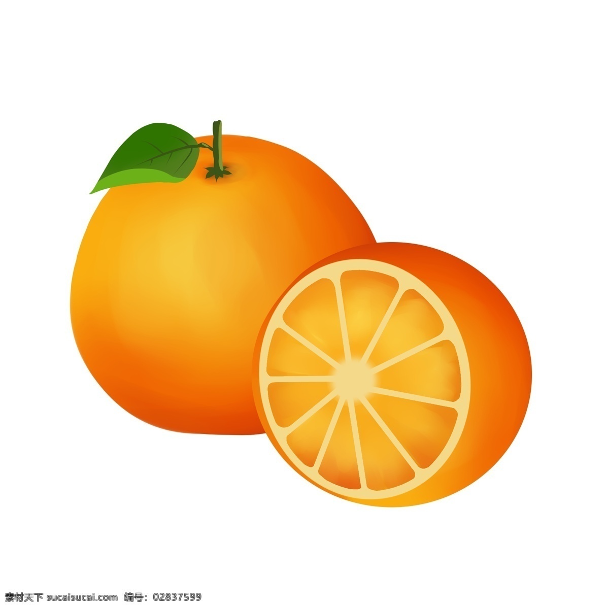手绘 夏季 自然 清新 水果 橙子 免 抠 夏季元素 自然清新风