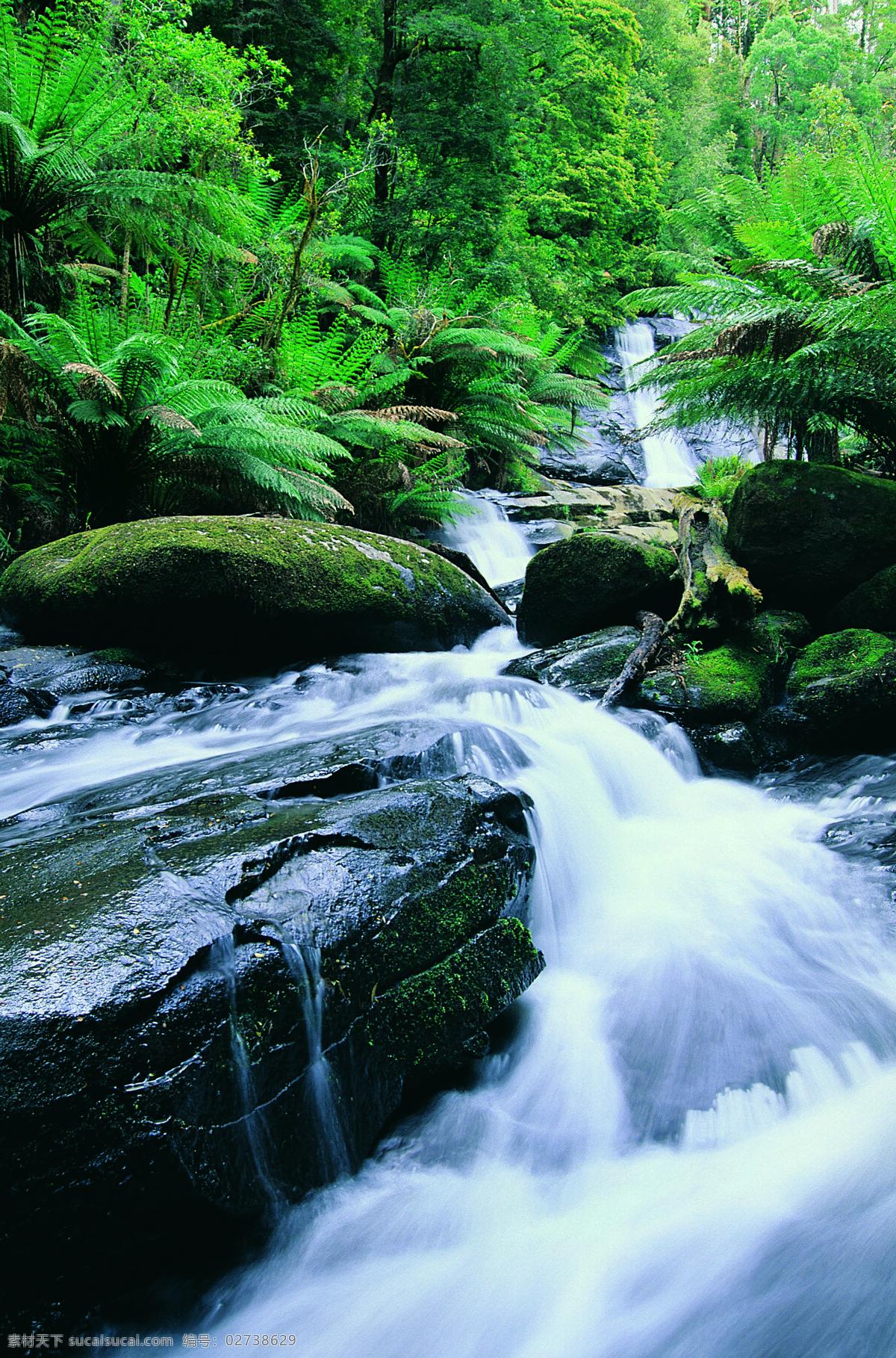 树免费下载 风景 山水风景 摄影图 树 植物 自然景观 水 家居装饰素材 山水风景画