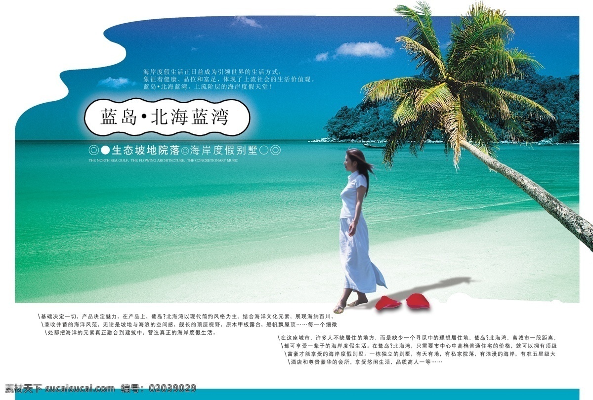 海滨生活 海湾 沙滩 椰树 海 地产 海滨度假