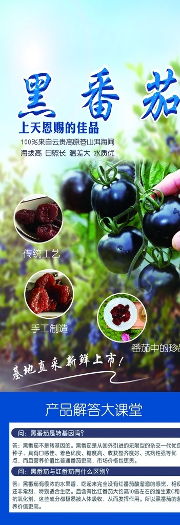 黑番茄海报 黑番茄 蓝莓 樱桃 海报 展架 易拉宝
