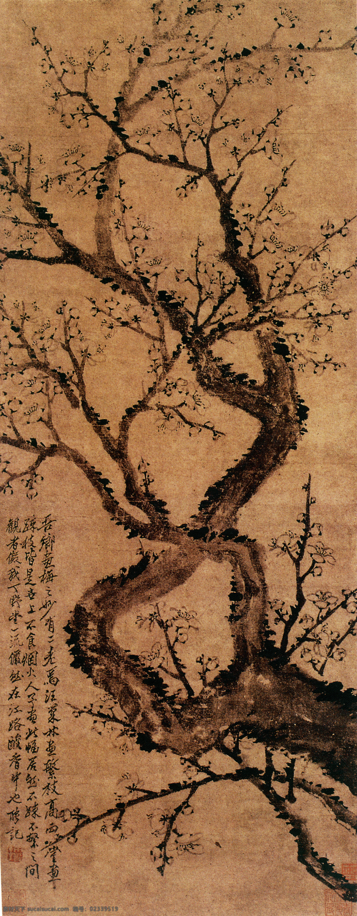 水墨 花卉 植物 国画风景写意 山水画 水墨风景画 水墨画 绘画艺术 名画 装饰画 中堂画 书画文字 文化艺术