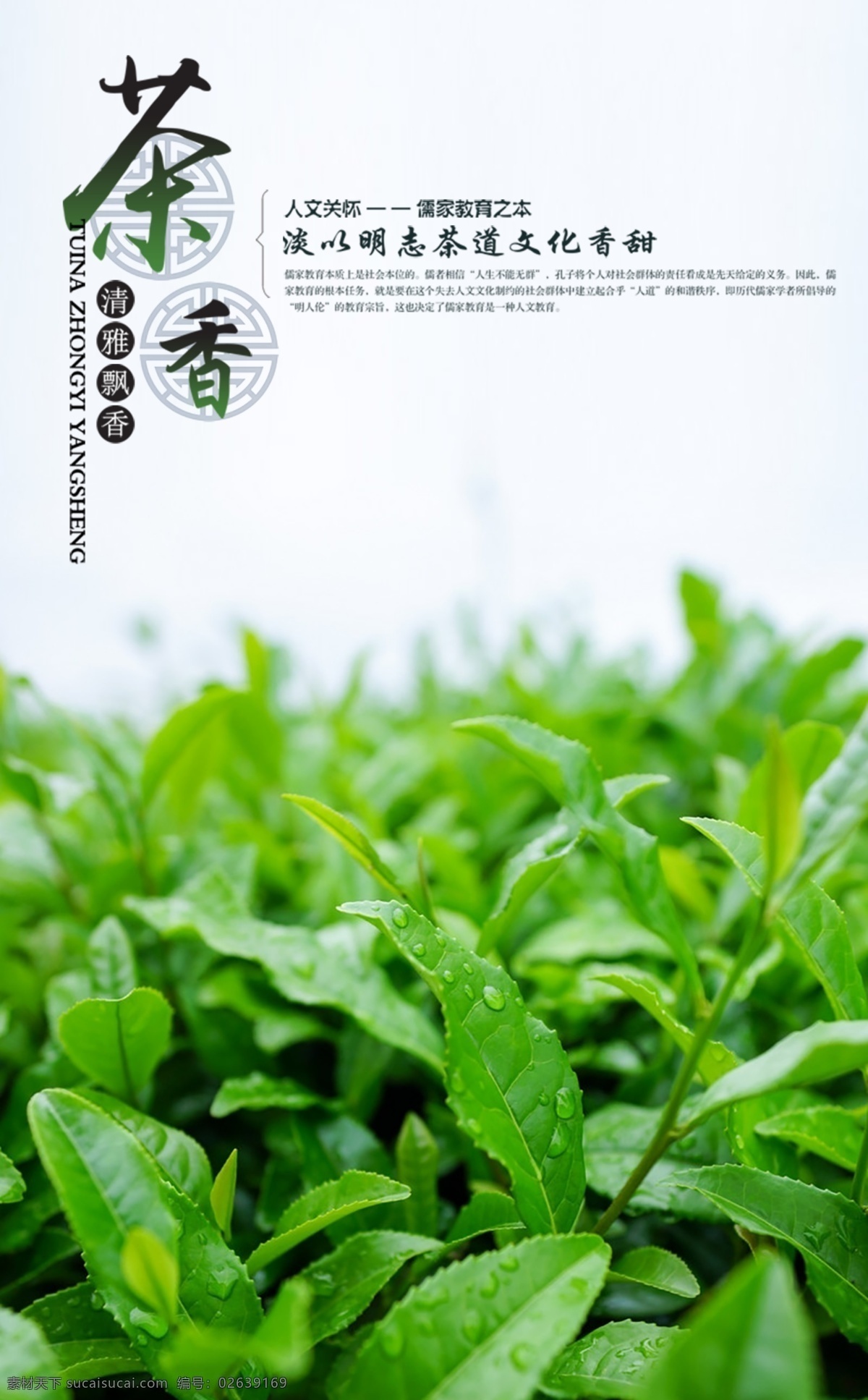 茶香 茶叶 茶文化 白色
