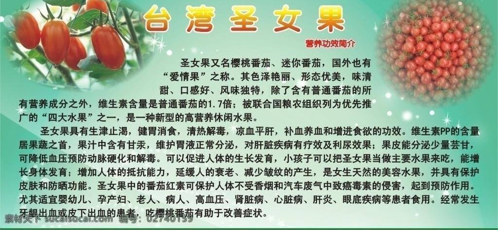 台湾 圣女 果 采摘 瓜果 户外广告 户外展板 生物世界 圣女果 蔬菜 水果 台湾圣女果 小番茄 植物 矢量 其他展板设计