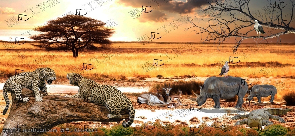 非洲 草原 上 猎豹 犀牛 羚羊 鳄鱼 原创 非洲草原 枯木 小鸟 分层