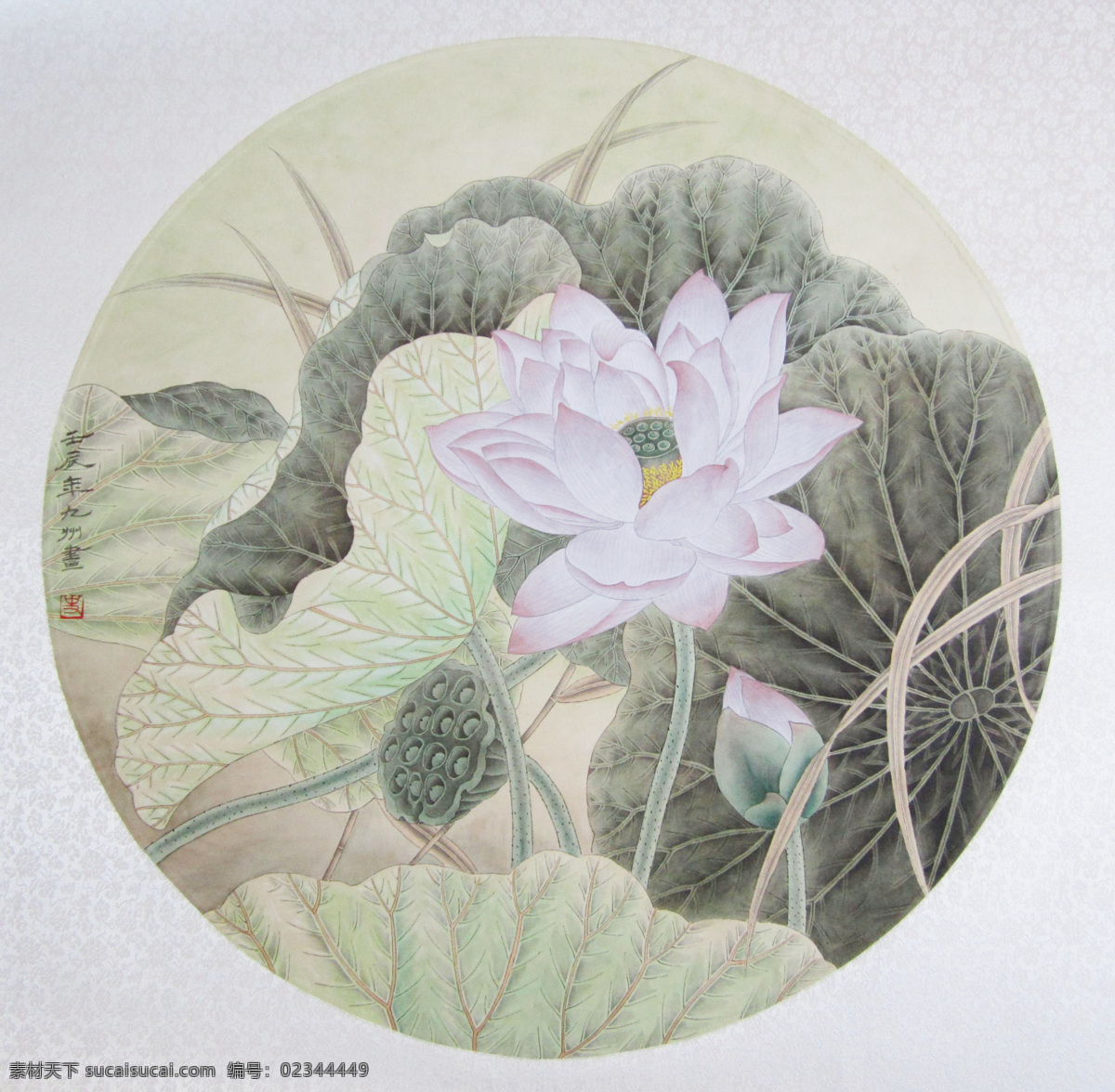 荷花扇面 扇面 国画 工笔 荷花 莲蓬 艺术绘画 文化艺术 绘画书法