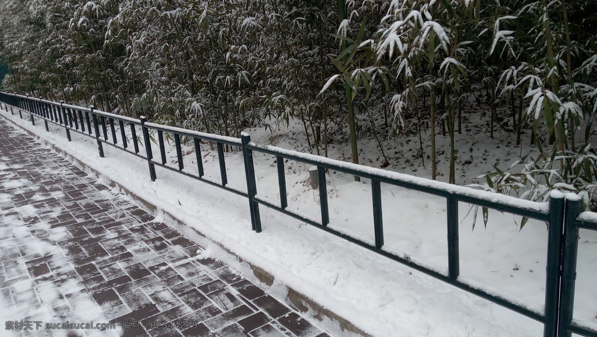 公园 下雪 早上 清晨 护栏 旅游摄影 自然风景