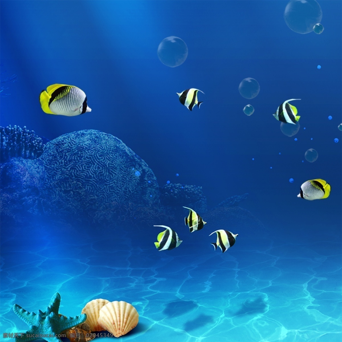 海底背景主图 海洋 鱼 海底世界 贝壳 化妆品背景 海底背景 蓝色