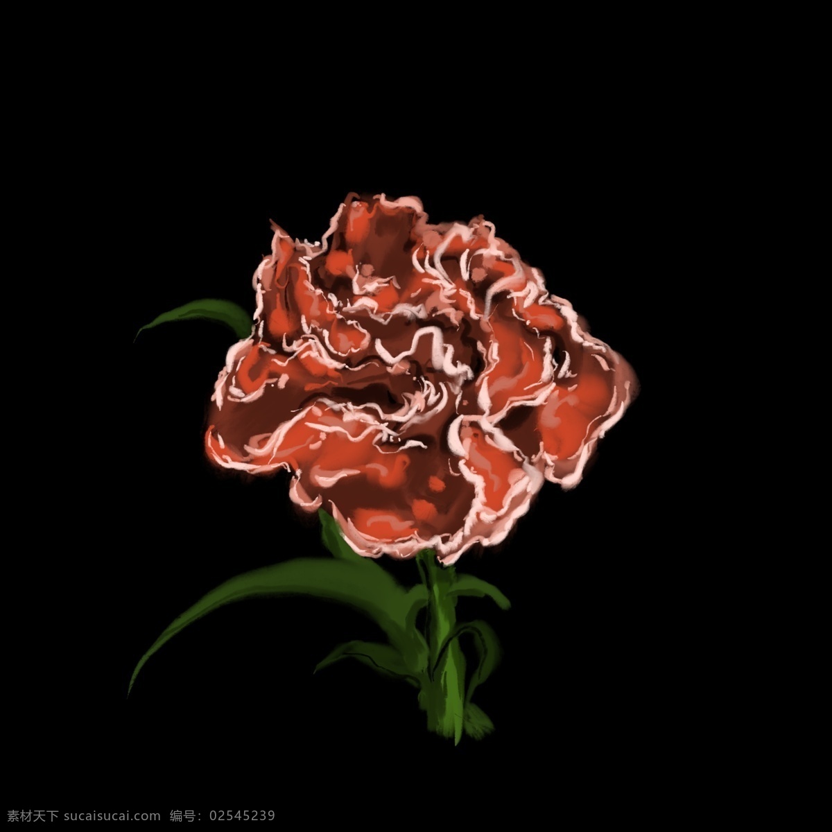 朵 红色 花 插图 一朵