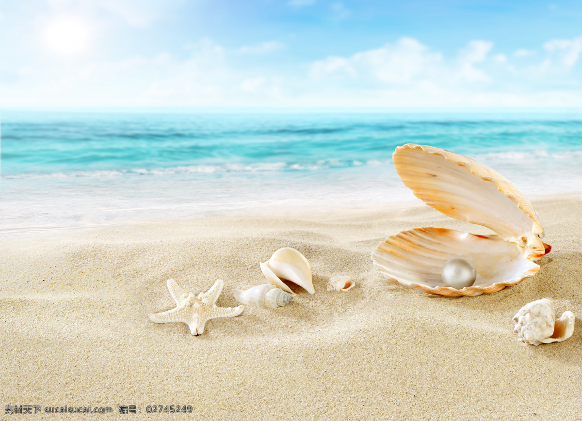贝壳 海螺 海星 沙滩 沙漠 海边 蓝天 白云 珍珠 装饰品 海洋生物 生物世界