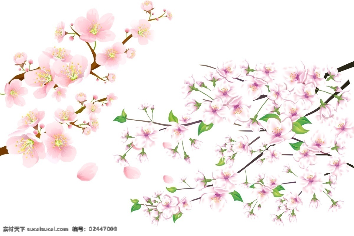 樱花 免 扣 高清 素材图片 樱花png 高清樱花图片 文件 樱花免扣素材 樱花素材 各种 生物世界 花草