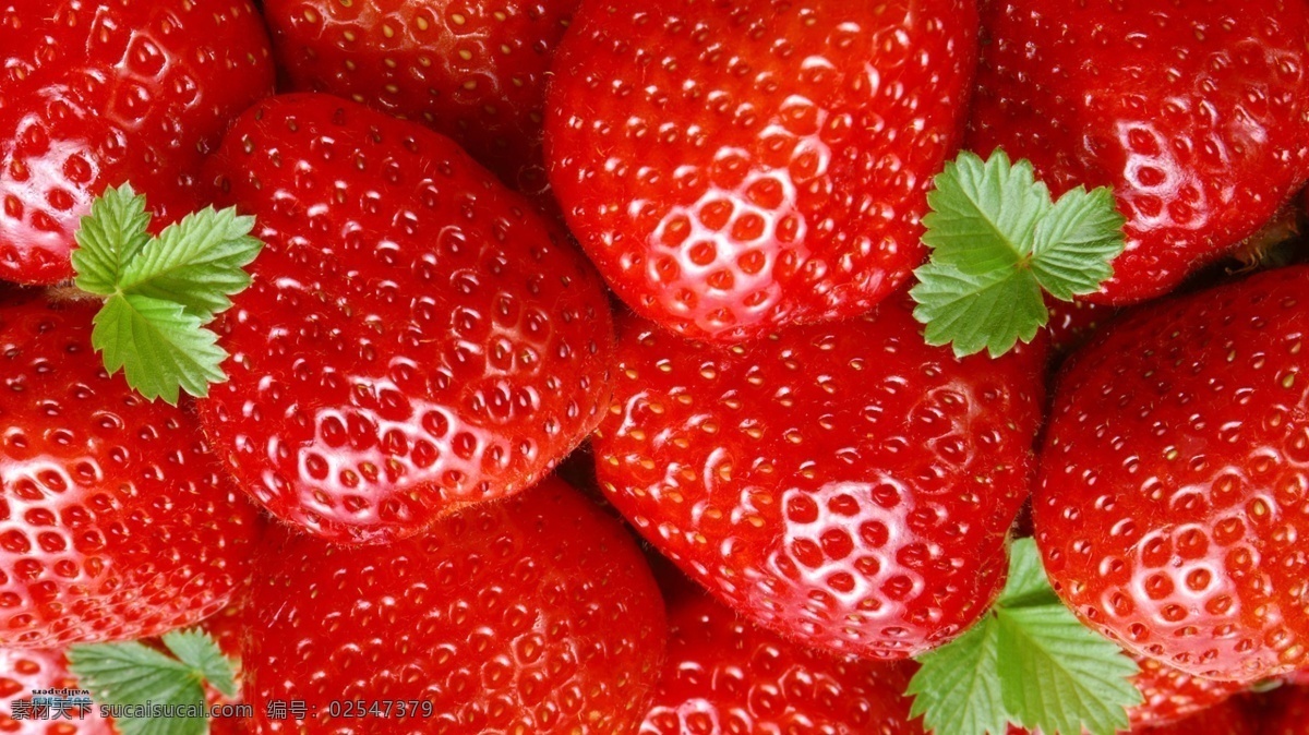 草莓特写 红草莓 熟透草莓 半大草莓 小草莓 红色草莓 草莓叶子 摘草莓 水果 水果摄影 草莓 果实 蔬菜水果 生物世界 bmp