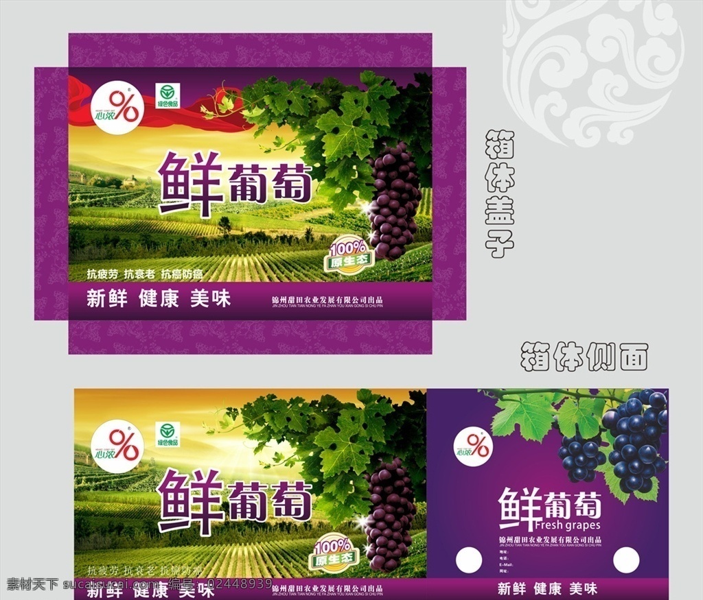 天地 盖 紫色 鲜 葡萄 箱子 紫色葡萄包装 葡萄箱子 葡萄盒 外箱 葡萄图片 水果图片 水果包装 水果箱子 水果盒 礼品 水果礼品 葡萄礼品 天地盖包装 农家土特产 农家野味 手提箱 礼品箱 手提盒 礼品盒 包装设计