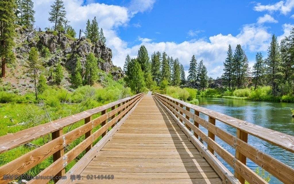 林荫小路图片 山水风景 森林风景 大自然风景 森林 森林植物 花草 蓝天白云 绿色植物 花草树木 花花草草 草原 大草原 唯美风景 自然风景 风景图片 公园道路 林荫道路 绿色道路 自然景观