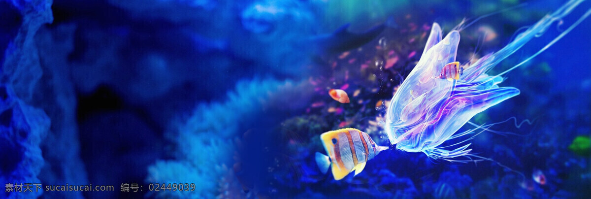 唯美 蓝色 花朵 背景 banner 朵 蓝色花 浪漫