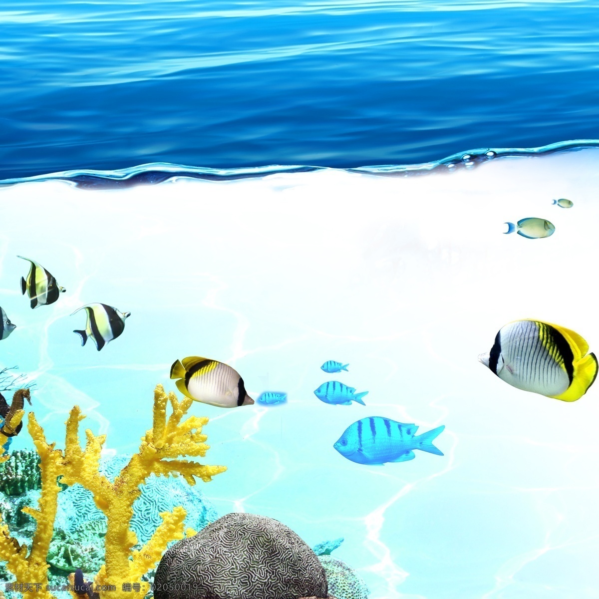 礁石 鱼 海水 海底 世界 海底世界素材