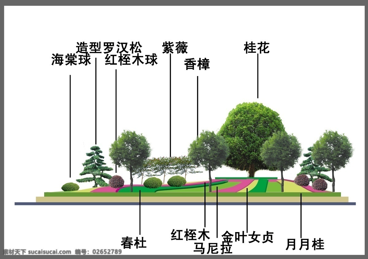草地 广场绿化 广场 绿化 效果图 环境设计 景观设计 树木素材 源文件 植物 模板下载 植物分层 家居装饰素材 园林景观设计