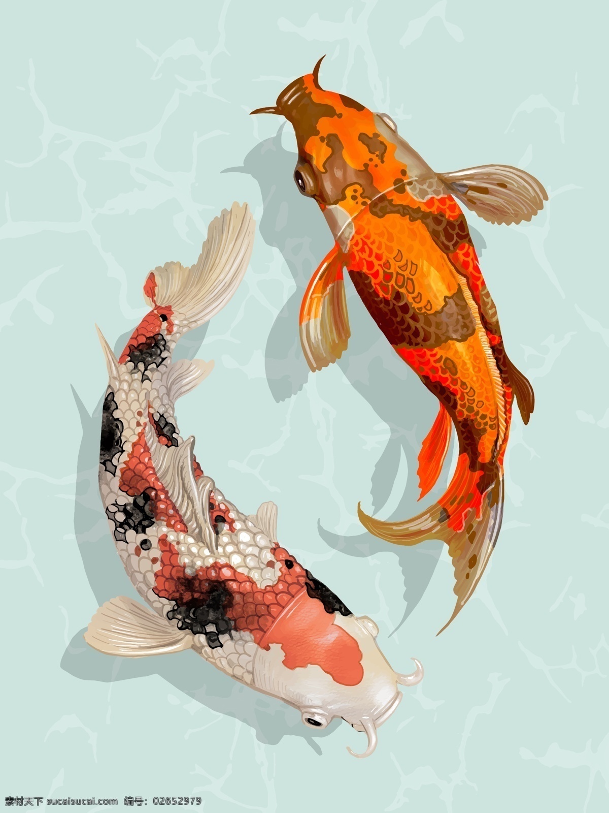 日本锦鲤 日本 锦鲤 鱼 水 水彩 动物 生物世界 鱼类