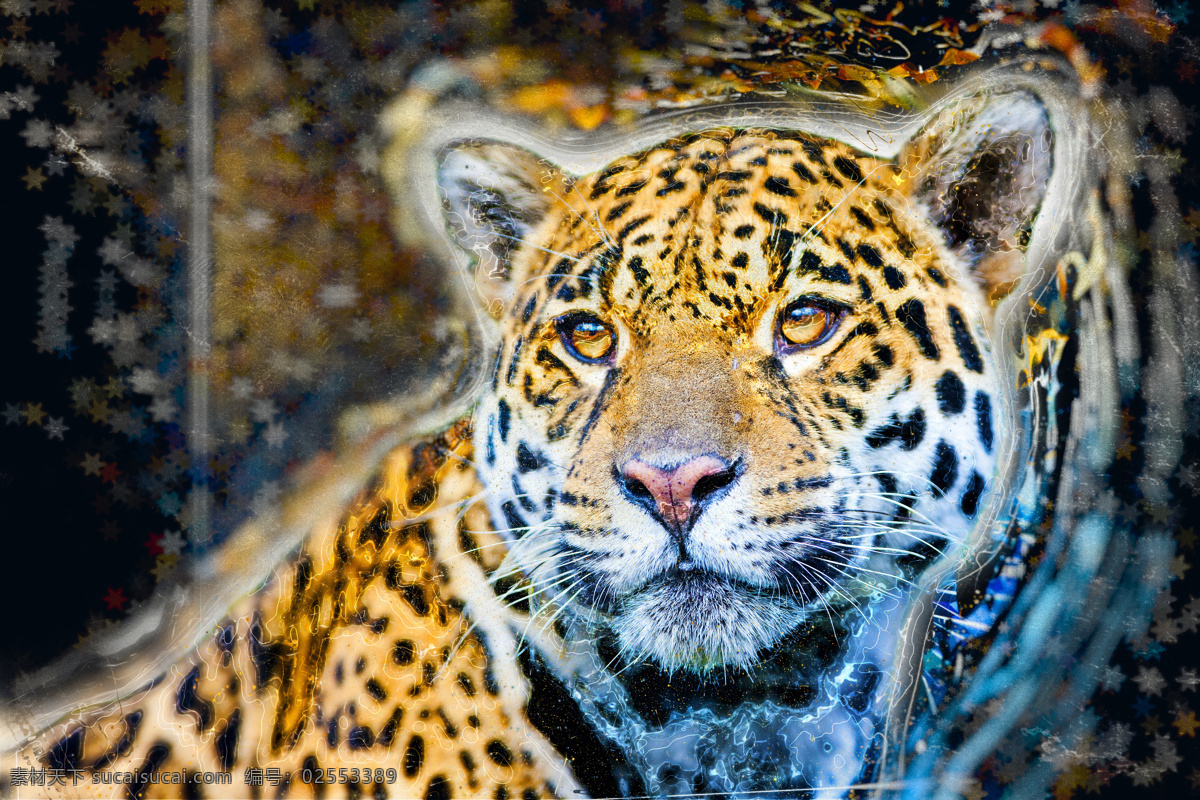 威武的豹子 豹子 野生动物 动物世界 陆地动物 生物世界 黑色