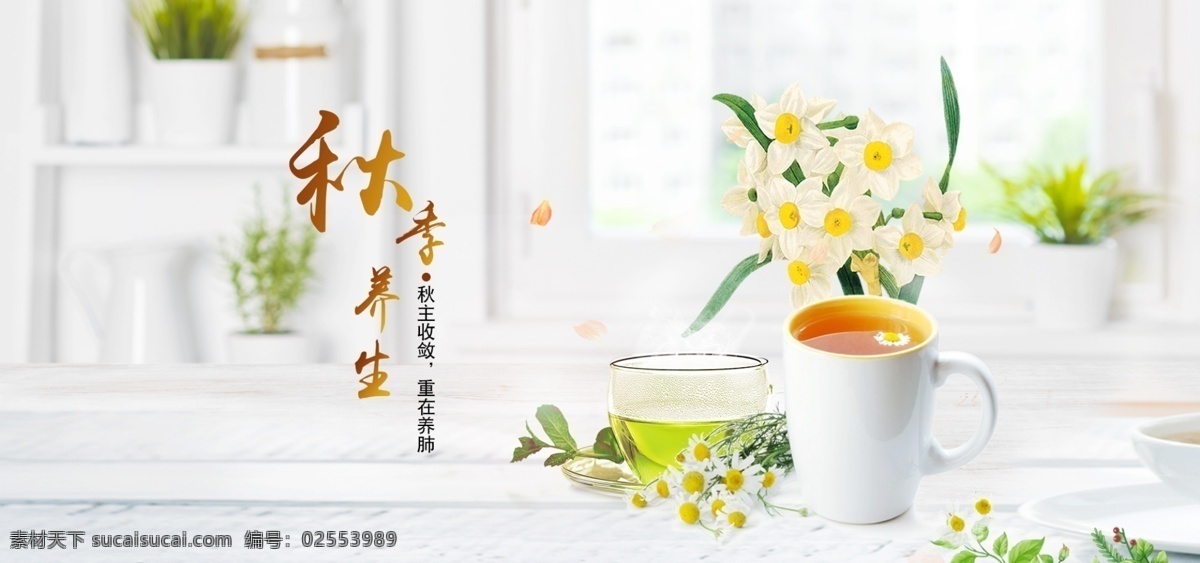秋季 养生 茶 调理 海报 秋季养生 banner 淘宝