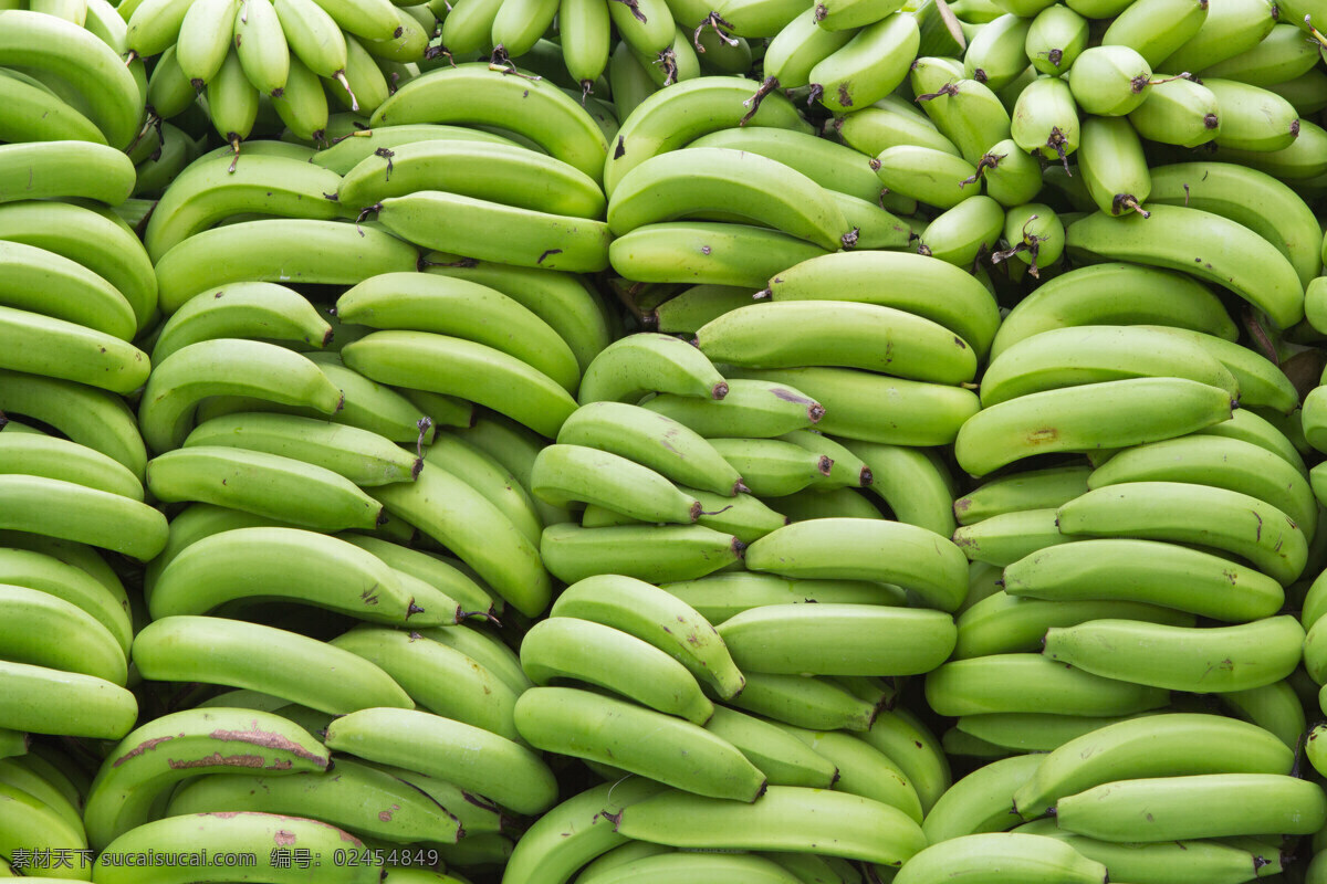 成堆 绿 香蕉 绿香蕉 弓蕉 金蕉 水果 新鲜水果 新鲜香蕉 蔬菜图片 餐饮美食