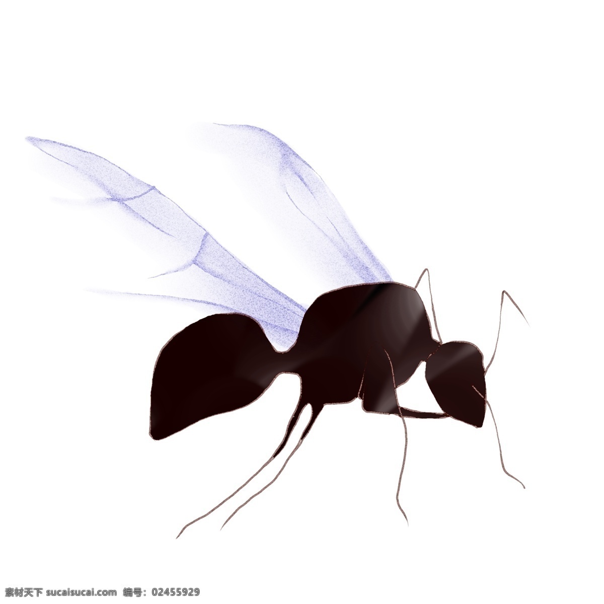 手绘 飞 蚁 原创 商用 元素 动物 日常 简约 小动物 蚂蚁 飞蚁 板绘 水彩 平涂