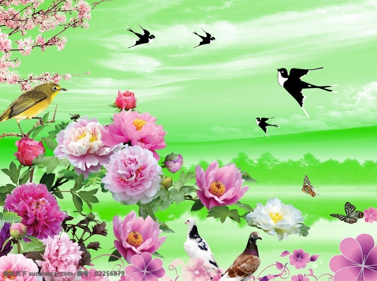 春天背景 牡丹 燕子 黄鹂 和平鸽 花朵 蝴蝶 梅花 天空 背景素材 分层 源文件