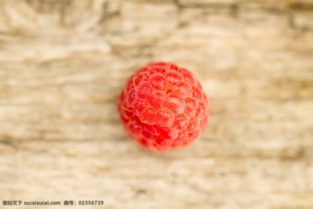 树莓 特写 覆盆子 新鲜水果 水果摄影 果实 水果蔬菜 水果图片 餐饮美食