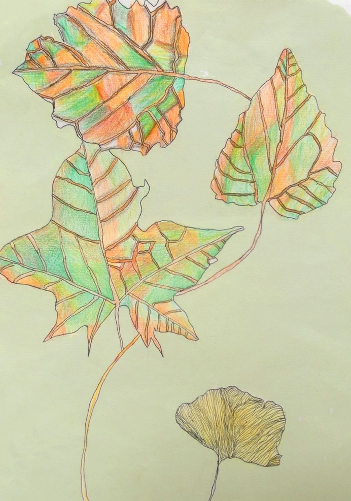 树叶 彩 铅 色块 绘画作品 绿色 橘黄 彩铅 底纹边框 背景底纹