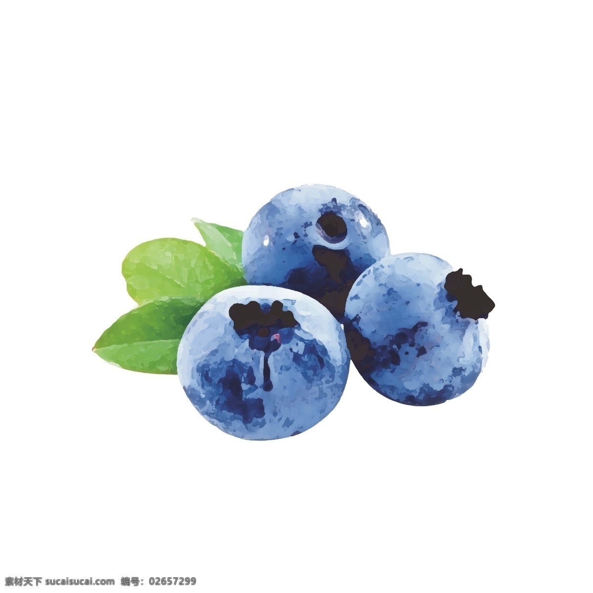 原创 蓝莓 手绘 水果 卡通 矢量 卡通水果 草莓 植物