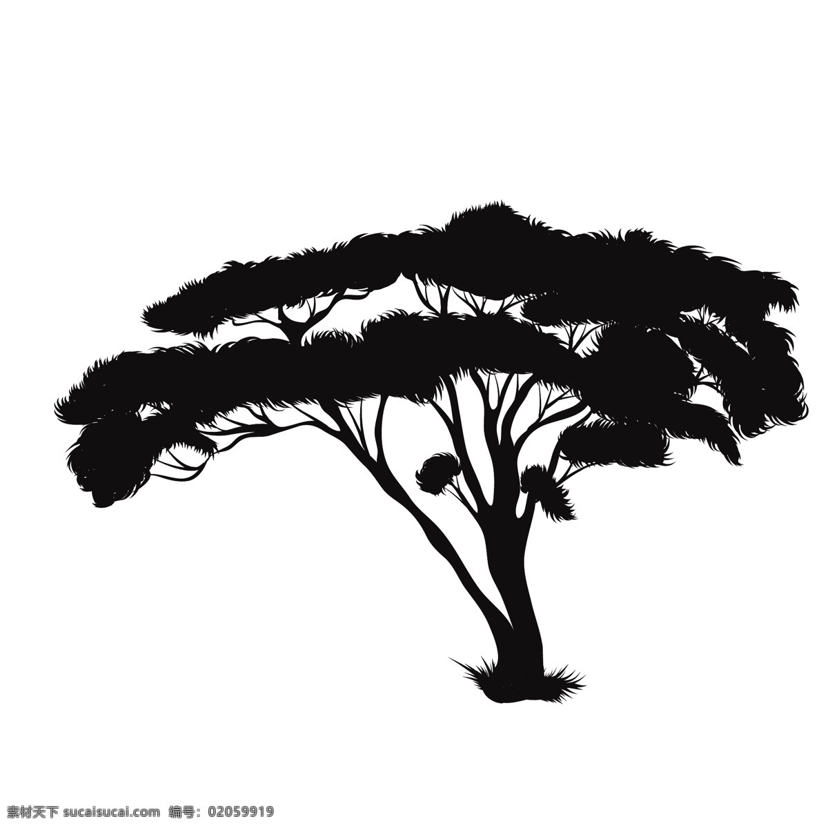 黑色 植物 树木 剪影 树枝 树干 涂鸦 图案 简约 绘画 树叶 树苗 素描 椰子树 松树