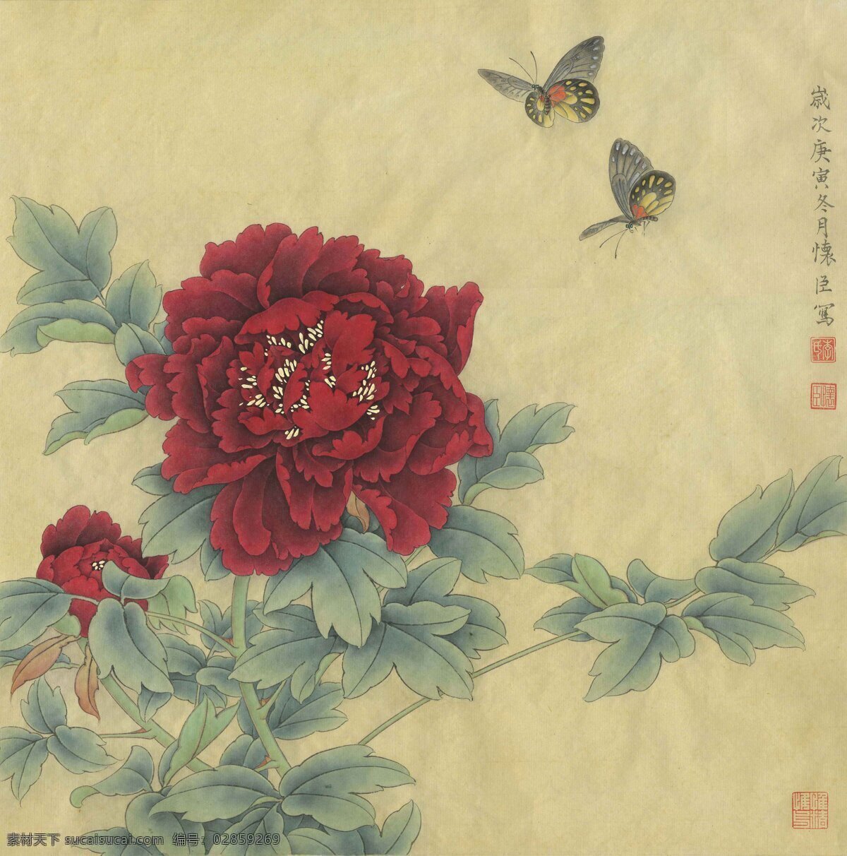 墨洒金牡丹花 李怀臣 中国画 工笔 牡丹 墨洒金 绘画书法 文化艺术