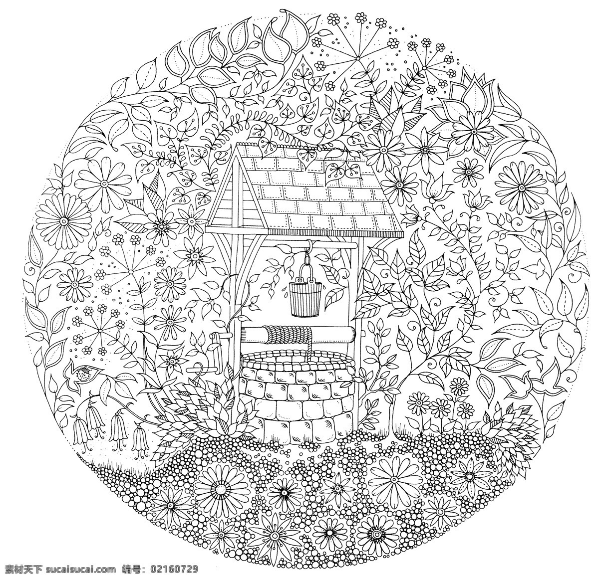 秘密花园 手绘本 动植物图 素描图 秘密 黑白 文化艺术 绘画书法