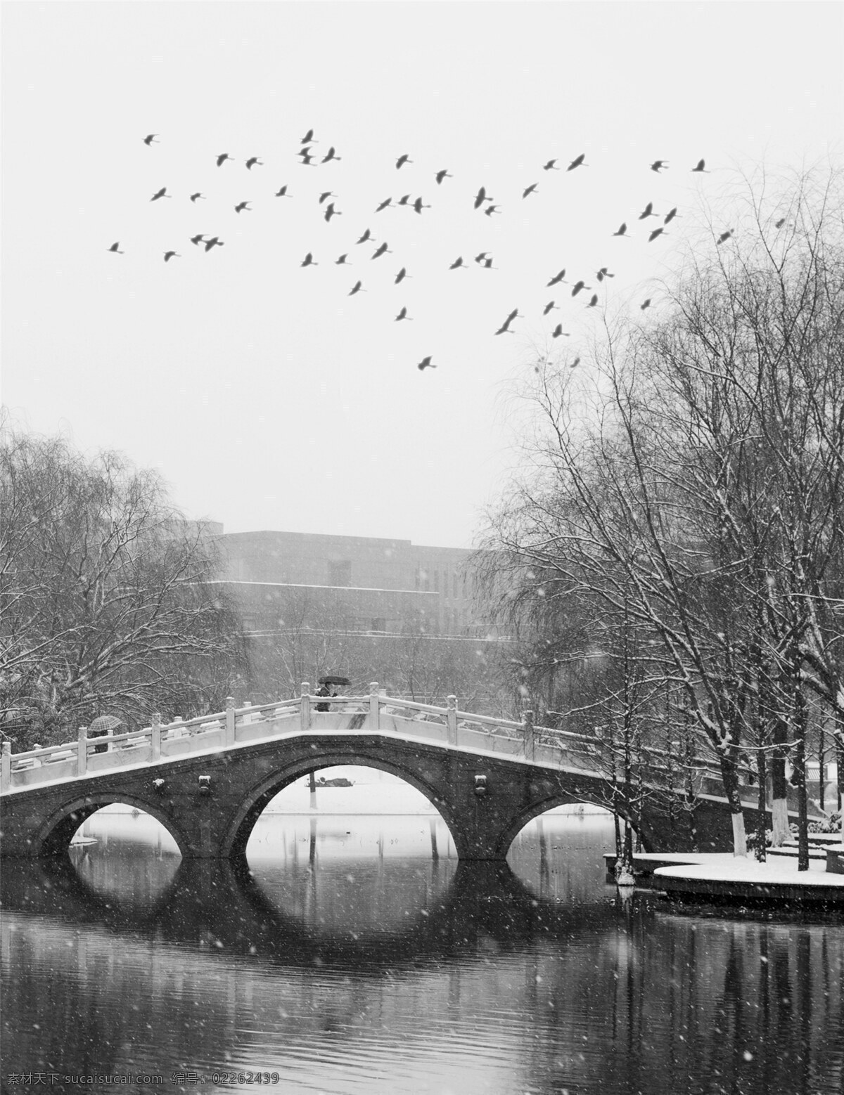 浙江大学 紫金港 雪景 湖 桥 大雁 园林建筑 建筑园林