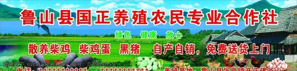 养殖 青山 青山绿水 猪 黑猪 鸡 鸭 鸡鸭 鸡蛋 红鸡蛋 绿鸡蛋 山水 山 母鸡 公鸡 背景 山水背景 养殖场背景