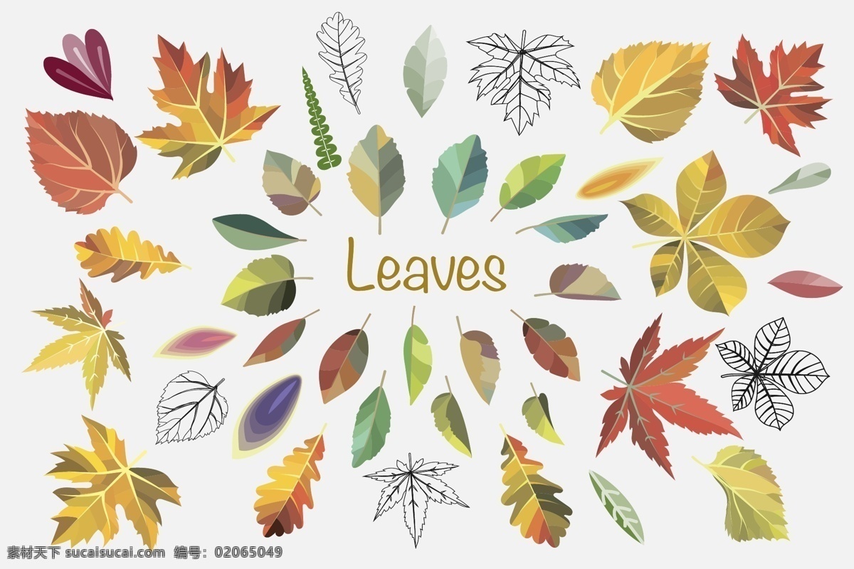 种类 不一 秋季 落叶 矢量 橙色 枫叶 黄色 平面素材 设计素材 矢量素材 树叶
