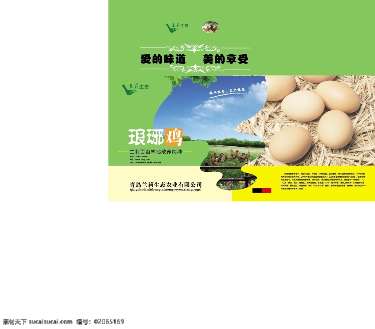 鸡蛋箱子 鸡蛋 鸡蛋箱 子高档礼品盒 箱子 琅琊鸡 包装设计