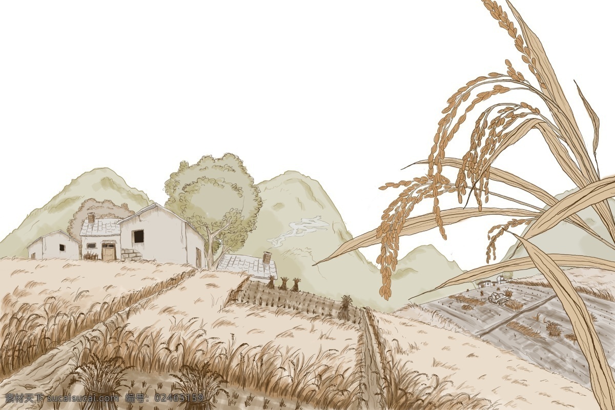 丰收 稻田 卡通 风景 插画 水稻 大米 秋天 东北 稻穗