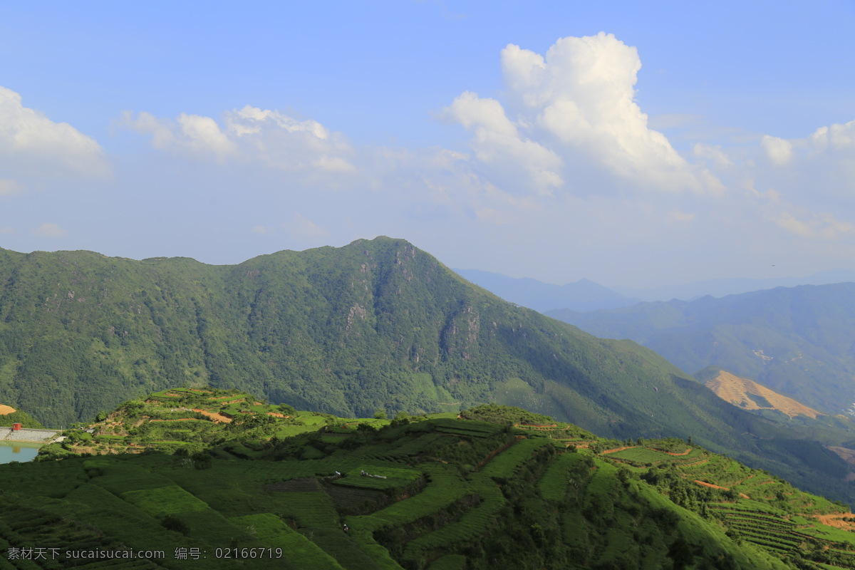 白交祠山茶园 唯美 风景 风光 旅行 自然 福建 厦门 白交祠山 茶园 美丽茶山 旅游摄影 国内旅游