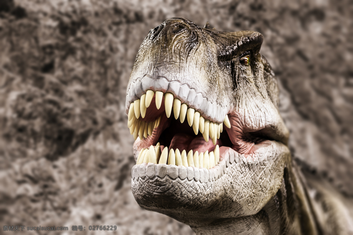 霸王龙 头部 特写 恐龙 3d动画 侏罗纪 侏罗纪公园 陆地动物 生物世界 黑色