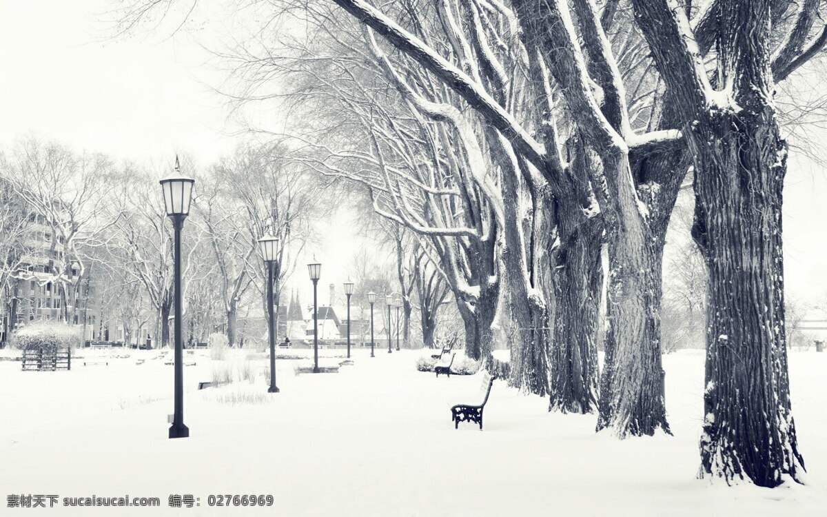 美丽 冬季 雪景 背景 雪地