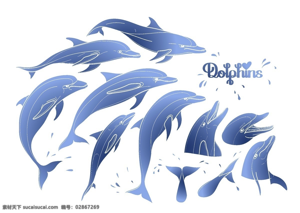 蓝色 唯美 海豚 插画 海洋 动物 鲸鱼 艺术