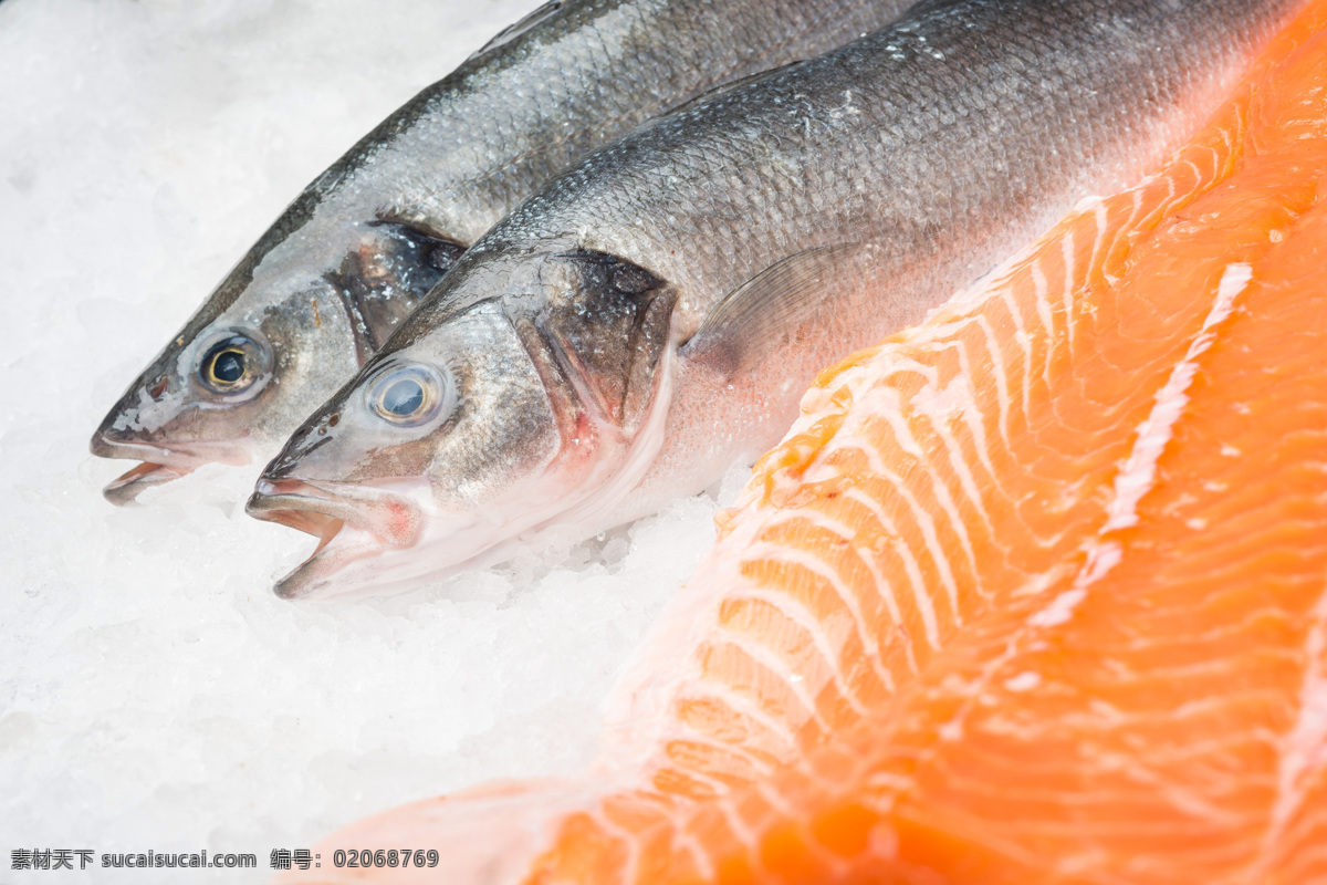 冷冻鲅鱼 鲅鱼 海鲜 鱼 冷藏 冷冻 鱼肉 生物世界 鱼类