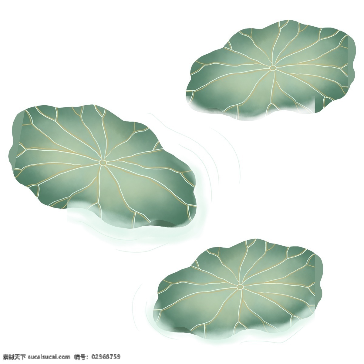 手绘 卡通 绿色 荷叶 元素 png元素 装饰图案 免扣素材 透明素材 植物