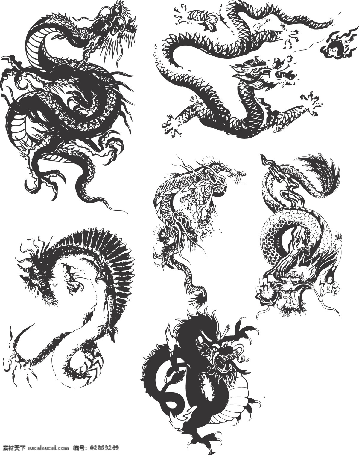 龙 龙矢量 白色