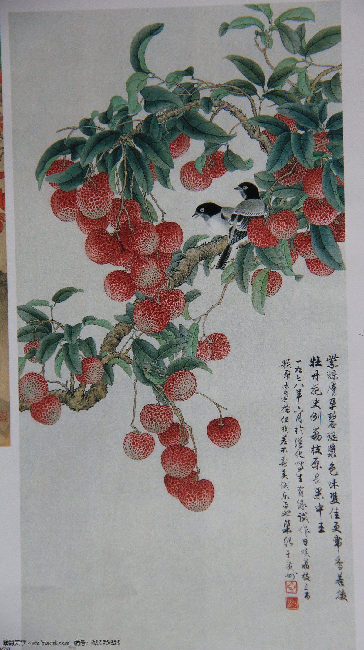 梁纪 国画 水墨画 花鸟 中国风 水墨 绘画 文化艺术 装饰画 绘画书法