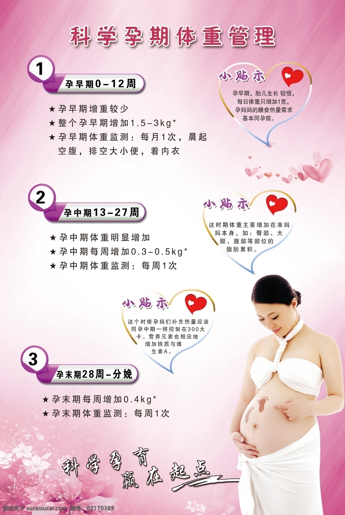 科学 孕期 体重 管理 科学孕期体重 孕期体重管理 孕期体重 体重管理 红色展板 紫色展板 妇科 妇幼 妇科展板 预防展板 幼儿展板 母婴 分层