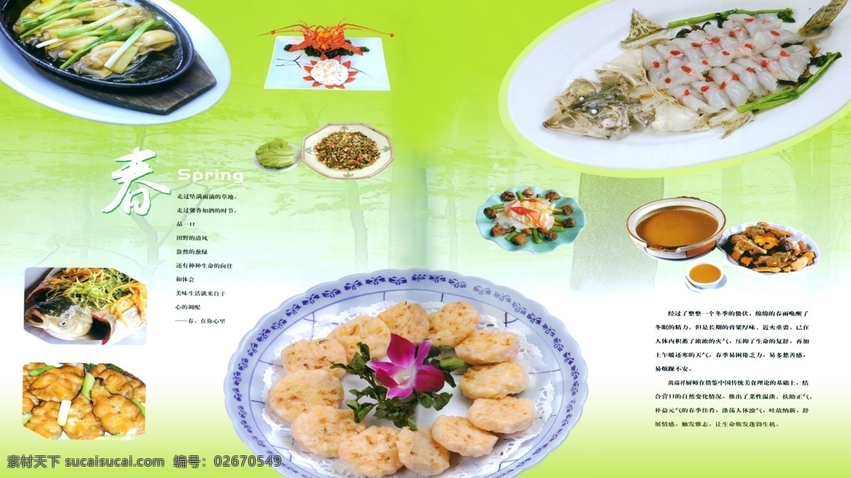 春季 菜肴 300 分层 酒店 美食 源文件库 春季菜肴 菜 psd源文件