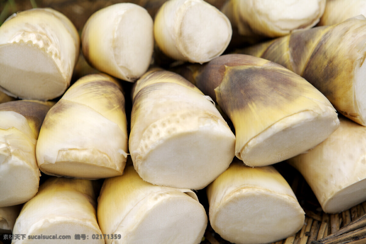 超市蔬菜 健康生活 健康饮食 绿色生活 生物世界 蔬菜 水果蔬菜 笋子 笋 冬笋 春笋 新鲜笋子 笋子底图 笋子名片背景 笋子背景 新鲜蔬菜 菜篮子 蔬菜批发 风景 生活 旅游餐饮